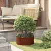 vidaXL Anneau de jardini&egrave;re 5 pcs Marron 40 x 40 x 20 cm Acier patin&eacute;