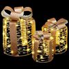 vidaXL Décoration de boîte cadeau avec 60 LED 3 pcs Blanc chaud PET