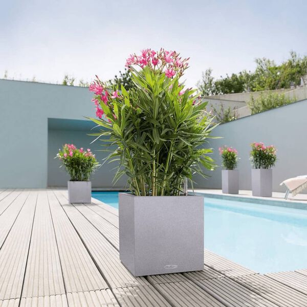 LECHUZA Jardini&egrave;re CANTO Stone 30 Low ALL-IN-ONE Gris pierre