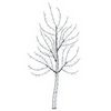 vidaXL Sapin de No&euml;l mural &agrave; LED 150 cm 140 LED Blanc froid Acier Noir