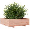 vidaXL Jardini&egrave;re 80x80x26,5 cm bois massif de douglas