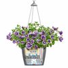 LECHUZA Jardinière suspendue NIDO Cottage 35 ALL-IN-ONE Gris clair
