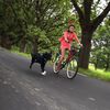 SPRINGER Kit d'exercice de v&eacute;lo pour chiens