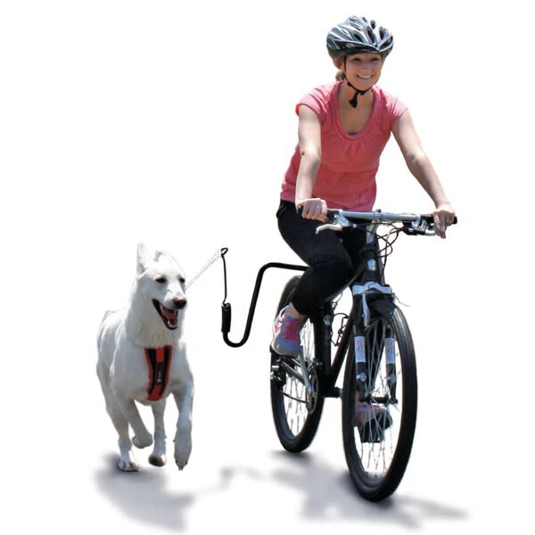 SPRINGER Kit d'exercice de v&eacute;lo pour chiens
