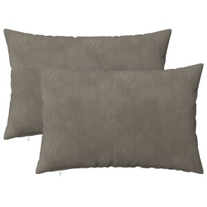vidaXL Coussin avec oreiller HEERLEN 2 pi&egrave;ces Gris clair Velours