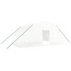 vidaXL Serre avec cadre en acier Blanc 24 m&sup2; 6x4x2,85 m