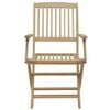 vidaXL Chaises pliables de jardin lot de 2 bois massif d'acacia