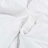 vidaXL Duvet d'hiver Blanc 260 x 220 cm Plume