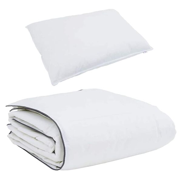 vidaXL Duvet d'hiver avec oreiller 2 pcs Blanc Plume de canard
