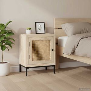 vidaXL Table de chevet 40x30x50 cm Bois de manguier et canne naturelle