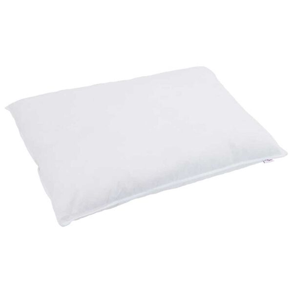vidaXL Oreiller avec oreiller Blanc 60 x 70 cm Plume