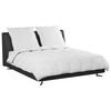 vidaXL Duvet d'hiver avec oreiller 3 pcs Blanc Plume de canard