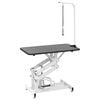 vidaXL Table Toilettage Ajustable Hydraulique pour Chiens Chats Animaux