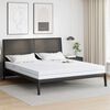 vidaXL Matelas Blanc 200 x 200 cm Mousse