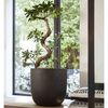 Vignette du produit 6 sur 15