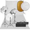 vidaXL Kit de studio photo avec &eacute;clairage toile de fond et r&eacute;flecteur
