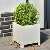 vidaXL Jardinières 2 pcs blanc 30x30x30 cm acier