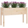 vidaXL Jardinière d'extérieur 110x31x70 cm bois de pin massif