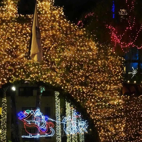 vidaXL Filet LED Vert fonc&eacute;