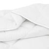 vidaXL Couette avec oreiller 2 pcs Blanc Microfibre