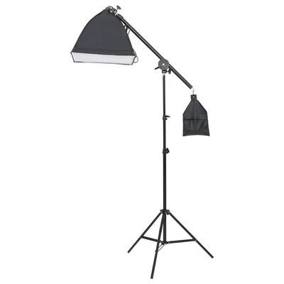 vidaXL Kit de studio photo avec éclairage et toile de fond