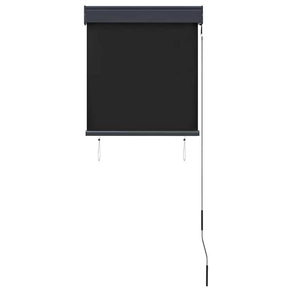vidaXL Store roulant d'ext&eacute;rieur 60 x 250 cm Anthracite