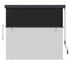 vidaXL Store roulant d'ext&eacute;rieur 160x250 cm Anthracite