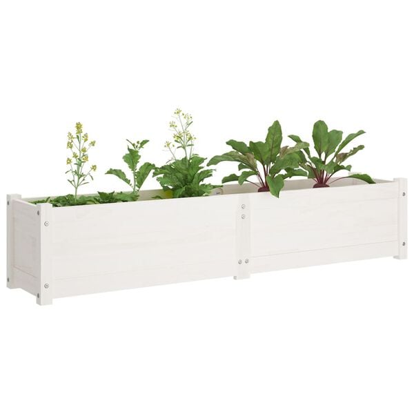vidaXL Lits sur&eacute;lev&eacute;s de jardin 2 pcs Blanc 150x31x31cm Bois de sapin