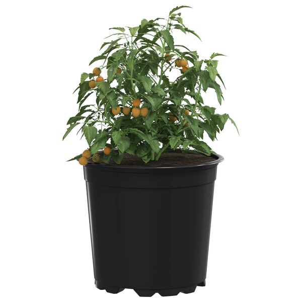 vidaXL Pot &agrave; fleurs 100 pcs Noir &Oslash; 15 x 13 cm Plastique