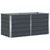 vidaXL Jardini&egrave;re Anthracite 160 x 80 x 75 cm Acier