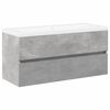 vidaXL Ensemble de meubles de salle de bain 2 pcs gris b&eacute;ton