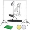 vidaXL Kit de studio photo avec &eacute;clairage toile de fond et r&eacute;flecteur