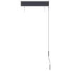 vidaXL Store roulant d'ext&eacute;rieur 60 x 250 cm Anthracite