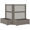 vidaXL Grand bac avec treille 2 pcs Gris 143 x 143 x 133,5 cm PP