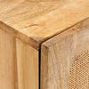 vidaXL Buffet avec porte Marron 40 x 33 x 75 cm Bois de mangue massif