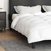 vidaXL Duvet d'hiver Blanc 240 x 260 cm Plume