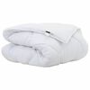 vidaXL Duvet d'hiver 220 x 135 x 5 cm Hiver Polyester Blanc Respirant