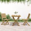 vidaXL Chaises pliables de jardin lot de 2 bois massif d'acacia