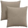vidaXL Coussins de canapé 2 pcs Taupe 80 x 80 cm tissu