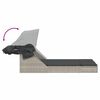 vidaXL Chaise longue double avec auvent et coussins gris clair rotin