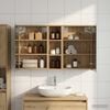 Vignette du produit 2 sur 12