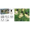 ProGarden Ensemble d'éclairage à LED de fête de jardin 80 micro LED