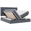 vidaXL Lit avec bandes LED Gris fonc&eacute; 180 x 200 cm Velours