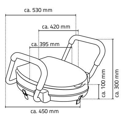 RIDDER Siège de toilette avec barre de sécurité Blanc 150 kg A0072001