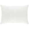 vidaXL Oreiller FULDA 40 x 60 cm 100% duvet d'oie et plumes Blanc