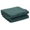 vidaXL Tapis de tente vert 5x2,5 m