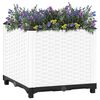 Vignette du produit 2 sur 8