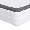 vidaXL Matelas 2 pcs Blanc et Gris 80 x 200 cm Printemps Bonell