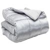 vidaXL Duvet d'hiver Argent&eacute; 200 x 220 cm Satin et Microfibre