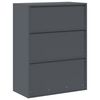 vidaXL Armoire de rangement Anthracite 80 x 40 x 105 cm Acier